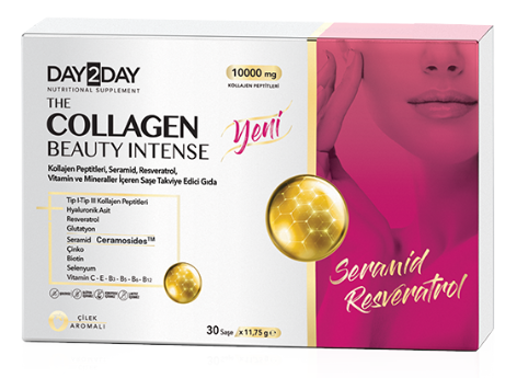 Day2Day The Collagen Beauty Intense Collagen Powder 30 Sachets